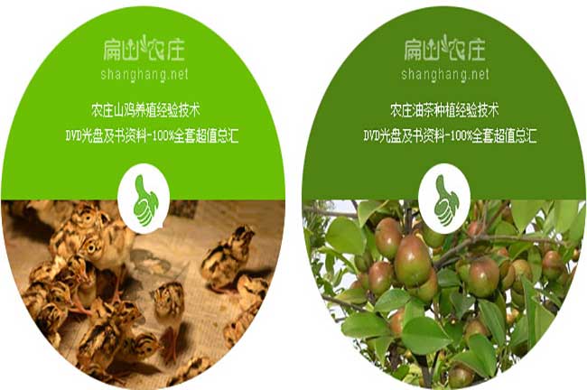 扁山農(nóng)莊油茶標志應(yīng)用