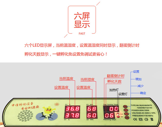 實(shí)用型家用孵化機(jī)