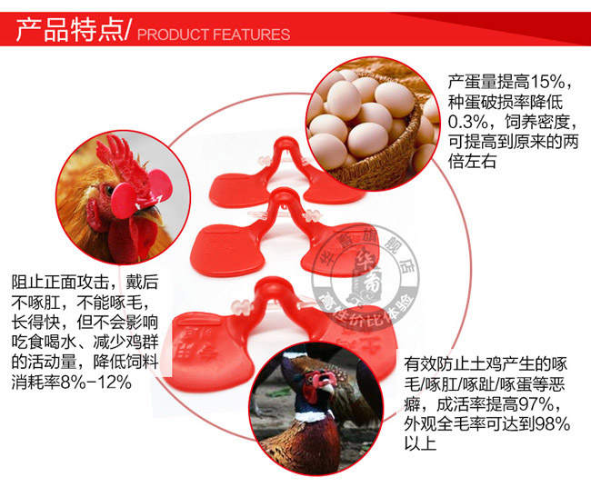 泉州雞眼鏡批發(fā)