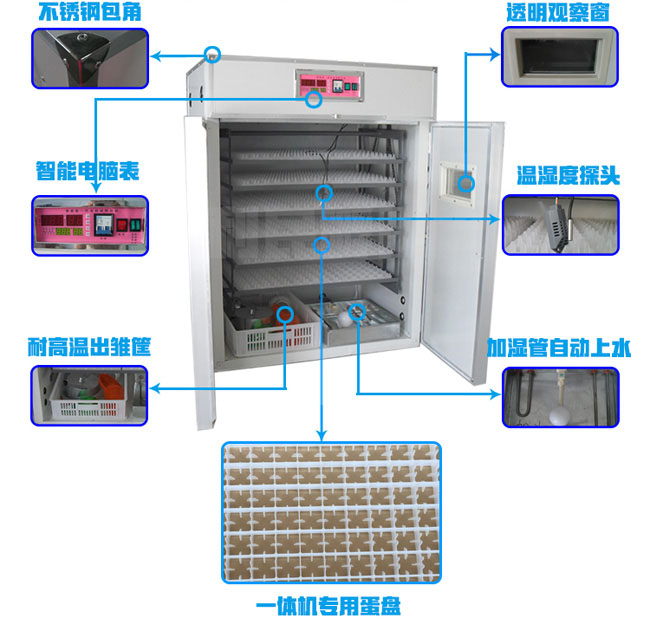 龍巖自動(dòng)孵化機(jī)器