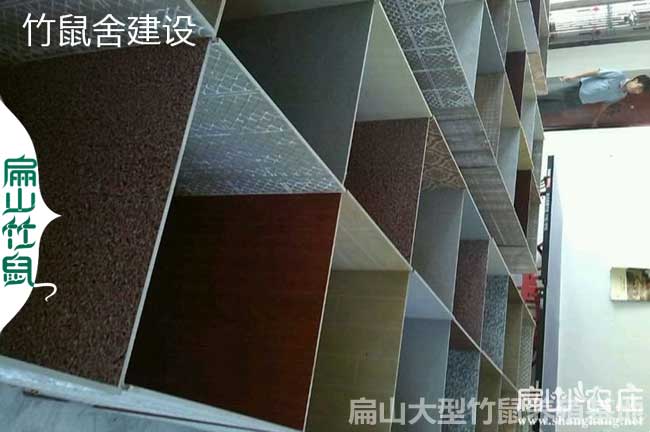 竹鼠舍用瓷磚來建造隱患很大