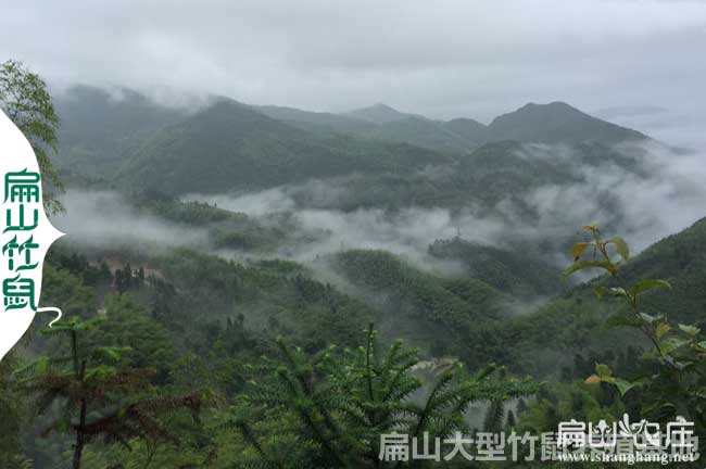 云南大中土雞養(yǎng)殖基地