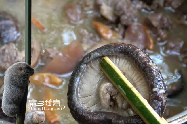 昭通竹鼠肉批發(fā)