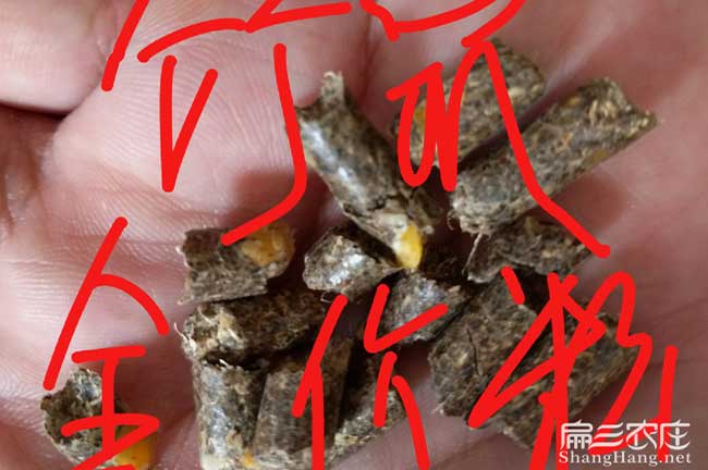 竹鼠全價(jià)粉