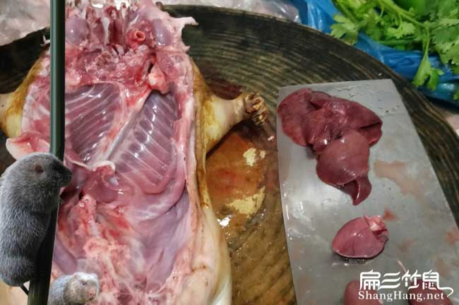 南平竹鼠肉