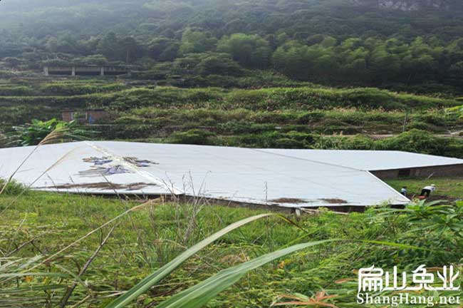 廣東大型養(yǎng)兔場