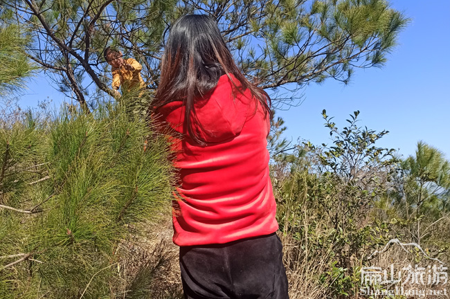 福建扁山旅游