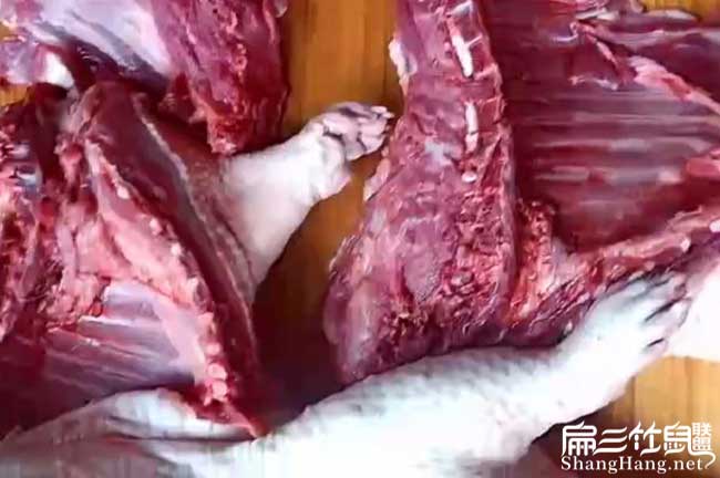 福建肉兔肉批發(fā)