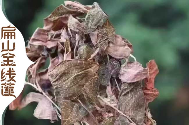 上饒金線蓮干貨