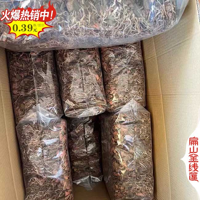 漳州金線蓮干貨批發(fā)