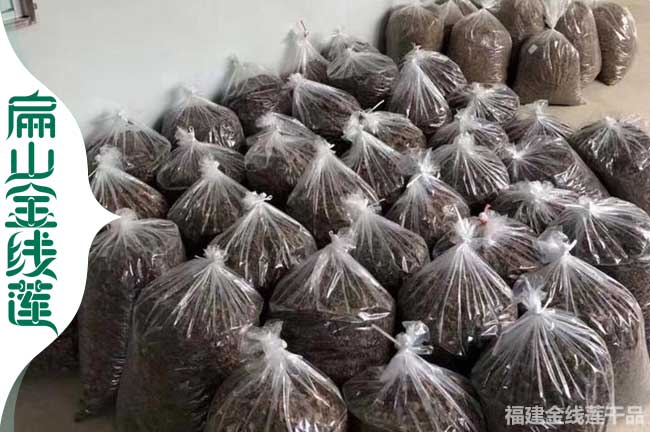 江西金線蓮散裝干貨