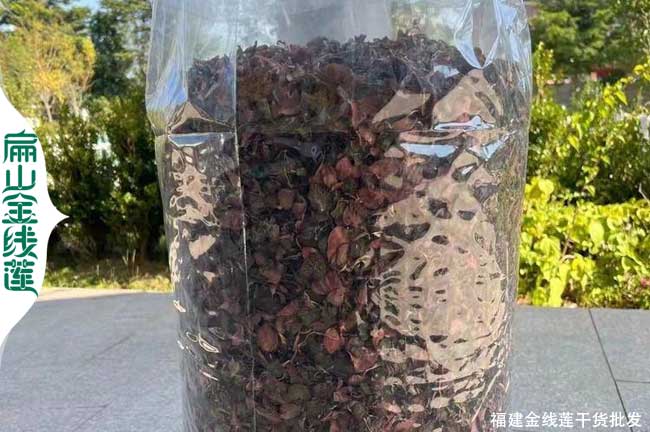 福建金線蓮干貨