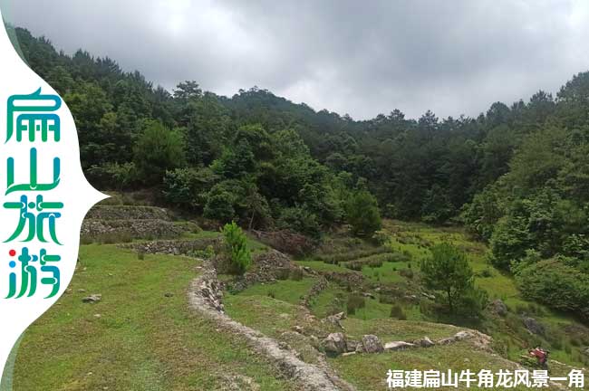 龍巖荒廢的農(nóng)田風(fēng)景