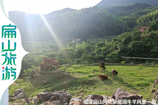 扁山風吹草低現(xiàn)牛羊