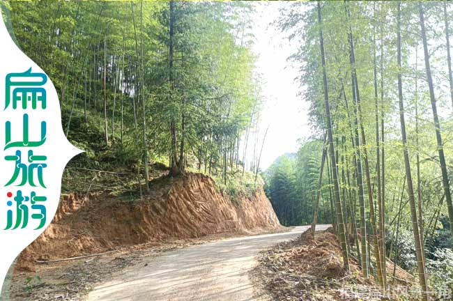 通往扁山崠的公路