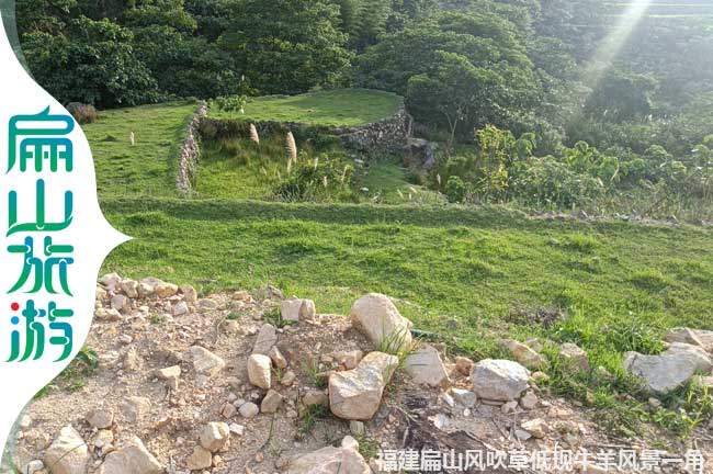 扁山稻田風(fēng)景一角