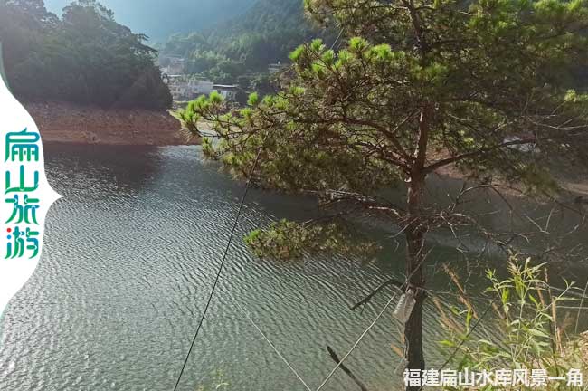 龍巖水庫釣魚地方