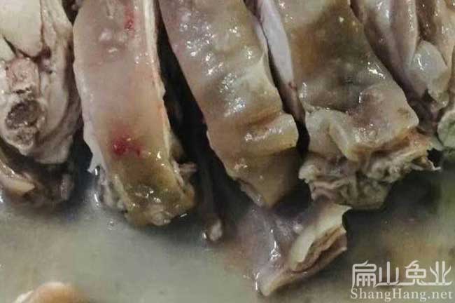 廣州肉兔批發(fā)