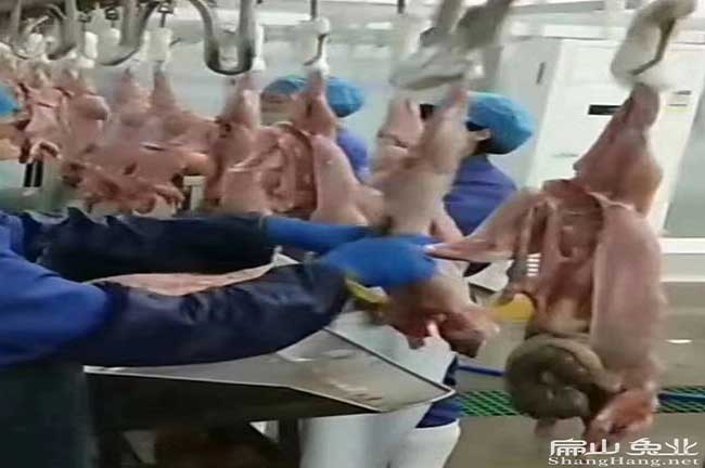 云浮竹鼠肉加工