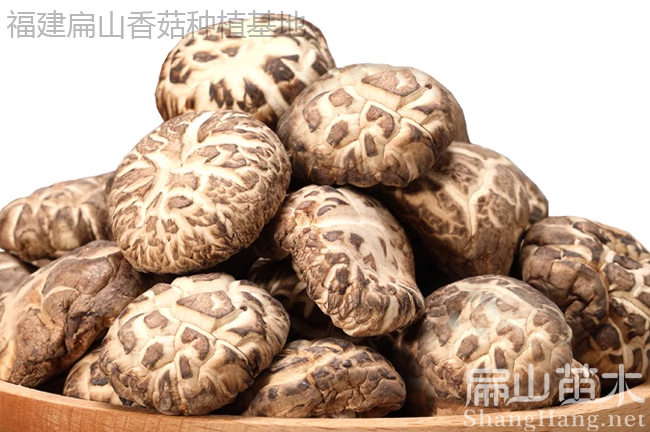 龍巖花茹生產(chǎn)