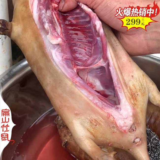 仙桃竹鼠肉批發(fā)